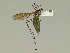  ( - 08PROBE-1337)  @13 [ ] Unspecified (default): All Rights Reserved  Unspecified Unspecified