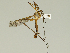  ( - 08PROBE-1342)  @14 [ ] Unspecified (default): All Rights Reserved  Unspecified Unspecified