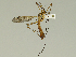  ( - 08PROBE-1351)  @14 [ ] Unspecified (default): All Rights Reserved  Unspecified Unspecified