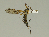  ( - 08PROBE-1382)  @13 [ ] Unspecified (default): All Rights Reserved  Unspecified Unspecified