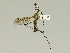  ( - 08PROBE-1424)  @13 [ ] Unspecified (default): All Rights Reserved  Unspecified Unspecified