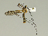  ( - 08PROBE-1425)  @13 [ ] Unspecified (default): All Rights Reserved  Unspecified Unspecified