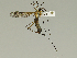  ( - 08PROBE-1426)  @13 [ ] Unspecified (default): All Rights Reserved  Unspecified Unspecified