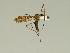  ( - 08PROBE-1433)  @13 [ ] Unspecified (default): All Rights Reserved  Unspecified Unspecified