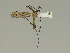  ( - 08PROBE-1441)  @13 [ ] Unspecified (default): All Rights Reserved  Unspecified Unspecified