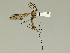  ( - 08PROBE-1442)  @13 [ ] Unspecified (default): All Rights Reserved  Unspecified Unspecified