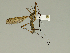  ( - 08PROBE-1450)  @13 [ ] Unspecified (default): All Rights Reserved  Unspecified Unspecified