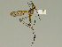  ( - 08PROBE-1458)  @13 [ ] Unspecified (default): All Rights Reserved  Unspecified Unspecified