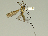  ( - 08PROBE-1461)  @14 [ ] Unspecified (default): All Rights Reserved  Unspecified Unspecified