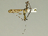  ( - 08PROBE-1462)  @14 [ ] Unspecified (default): All Rights Reserved  Unspecified Unspecified
