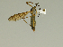  ( - 08PROBE-1468)  @14 [ ] Unspecified (default): All Rights Reserved  Unspecified Unspecified