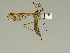  ( - 08PROBE-1471)  @14 [ ] Unspecified (default): All Rights Reserved  Unspecified Unspecified