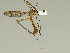  ( - 08PROBE-1476)  @13 [ ] Unspecified (default): All Rights Reserved  Unspecified Unspecified