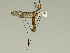  ( - 08PROBE-1479)  @14 [ ] Unspecified (default): All Rights Reserved  Unspecified Unspecified