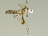  ( - 08PROBE-1482)  @13 [ ] Unspecified (default): All Rights Reserved  Unspecified Unspecified