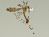  ( - 08PROBE-1483)  @13 [ ] Unspecified (default): All Rights Reserved  Unspecified Unspecified