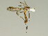  ( - 08PROBE-1484)  @13 [ ] Unspecified (default): All Rights Reserved  Unspecified Unspecified
