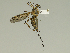  ( - 08PROBE-1488)  @14 [ ] Unspecified (default): All Rights Reserved  Unspecified Unspecified