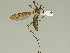  ( - 08PROBE-1491)  @13 [ ] Unspecified (default): All Rights Reserved  Unspecified Unspecified