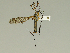  ( - 08PROBE-1494)  @13 [ ] Unspecified (default): All Rights Reserved  Unspecified Unspecified