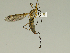  ( - 08PROBE-1508)  @13 [ ] Unspecified (default): All Rights Reserved  Unspecified Unspecified