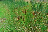  ( - JG066)  @11 [ ] No Rights Reserved  Unspecified Unspecified
