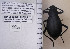  ( - PIMAUA0017)  @12 [ ] CreativeCommons - Attribution Non-Commercial Share-Alike (2017) Wendy Moore University of Arizona