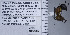  ( - PIMAUA0019)  @12 [ ] CreativeCommons - Attribution Non-Commercial Share-Alike (2017) Wendy Moore University of Arizona