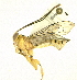  ( - HL-108)  @11 [ ] Unspecified (default): All Rights Reserved  Pham T. N. Unspecified