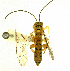  ( - Ich. 286)  @11 [ ] Unspecified (default): All Rights Reserved  Pham T. N. Unspecified