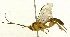  ( - Ich. 295)  @11 [ ] Unspecified (default): All Rights Reserved  Pham T. N. Unspecified