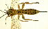  ( - Ich. 316)  @11 [ ] Unspecified (default): All Rights Reserved  Pham T. N. Unspecified