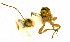  ( - Ich. 319)  @11 [ ] Unspecified (default): All Rights Reserved  Pham T. N. Unspecified