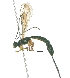  ( - Ich. 906)  @11 [ ] Unspecified (default): All Rights Reserved  Pham T. N. Unspecified