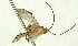  ( - Ich. 917)  @11 [ ] Unspecified (default): All Rights Reserved  Pham T. N. Unspecified