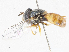  ( - CBG-A07119-C02)  @11 [ ] CreativeCommons - Attribution Share-Alike (2023) CBG Photography Group Centre for Biodiversity Genomics