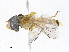  ( - CBG-A07119-D08)  @11 [ ] CreativeCommons - Attribution Share-Alike (2023) CBG Photography Group Centre for Biodiversity Genomics