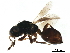  ( - BIOUG44131-B08)  @14 [ ] CreativeCommons - Attribution (2020) CBG Photography Group Centre for Biodiversity Genomics