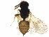  ( - BIOUG44172-G02)  @14 [ ] CreativeCommons - Attribution (2019) CBG Photography Group Centre for Biodiversity Genomics