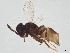  ( - BIOUG44692-B12)  @11 [ ] CreativeCommons - Attribution (2022) CBG Photography Group Centre for Biodiversity Genomics