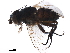  ( - BIOUG44212-G11)  @11 [ ] CreativeCommons - Attribution (2019) CBG Photography Group Centre for Biodiversity Genomics