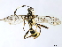  ( - BIOUG44260-H10)  @11 [ ] CreativeCommons - Attribution (2019) CBG Photography Group Centre for Biodiversity Genomics