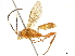  ( - BIOUG44373-C06)  @11 [ ] CreativeCommons - Attribution (2019) CBG Photography Group Centre for Biodiversity Genomics