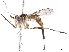  ( - BIOUG44373-G07)  @11 [ ] CreativeCommons - Attribution (2019) CBG Photography Group Centre for Biodiversity Genomics