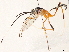  ( - BIOUG49452-B01)  @11 [ ] CreativeCommons - Attribution (2020) CBG Photography Group Centre for Biodiversity Genomics
