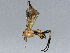  ( - BIOUG55386-H03)  @11 [ ] CreativeCommons - Attribution (2021) CBG Photography Group Centre for Biodiversity Genomics