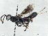  ( - BIOUG56926-C12)  @14 [ ] CreativeCommons - Attribution (2021) CBG Photography Group Centre for Biodiversity Genomics