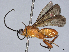  ( - BIOUG58130-B02)  @11 [ ] CreativeCommons - Attribution (2021) CBG Photography Group Centre for Biodiversity Genomics