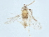  ( - BIOUG65712-D01)  @11 [ ] CreativeCommons - Attribution (2022) CBG Photography Group Centre for Biodiversity Genomics