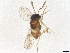  ( - BIOUG65715-G09)  @11 [ ] CreativeCommons - Attribution (2022) CBG Photography Group Centre for Biodiversity Genomics